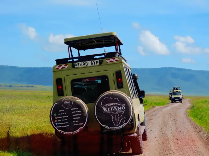 4-Day Group Joining Tarangire/Serengeti/Ngorongoro - Tanzania safari