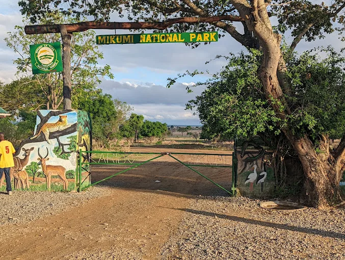 2 Days Private Mikumi Safari 2 Games from Dar Es Salaam gallery image