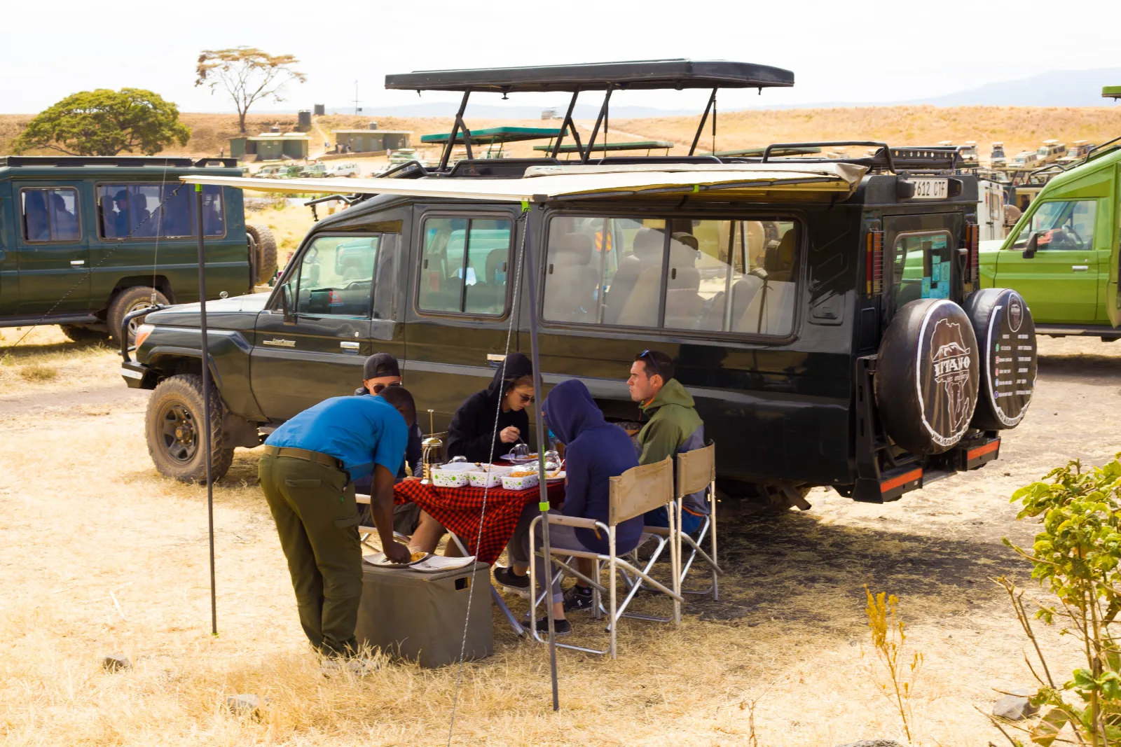 1-Day Private Fly in Nyerere National Park from Zanzibar - Tanzania safari gallery image