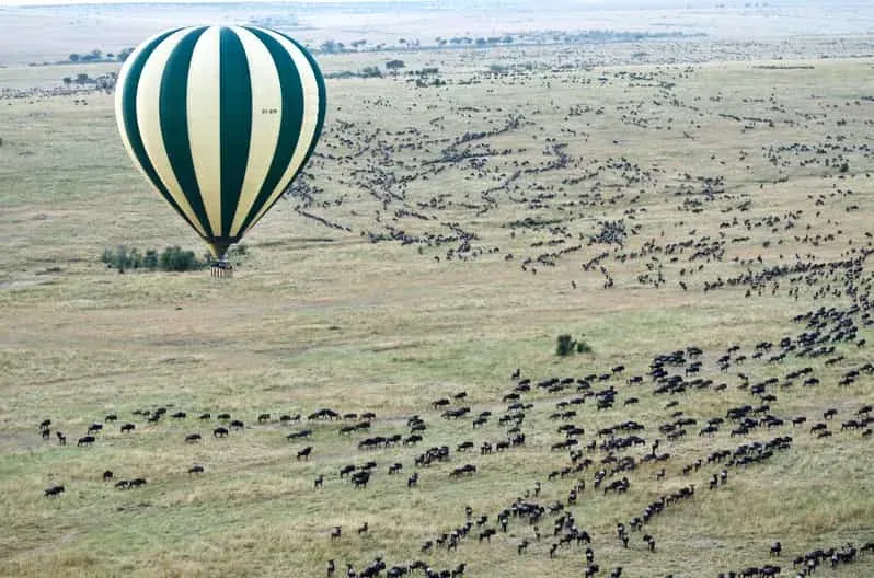2-Day Lake Nakuru National Park Tour - Kenya tours