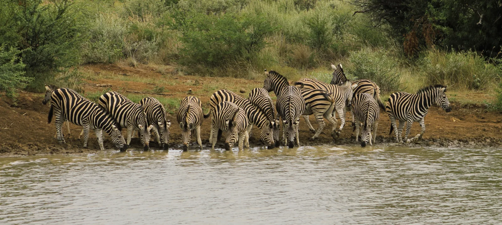 2-Day Amboseli Wildlife Safari - Kenya tours gallery image