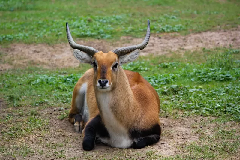5-Day Awash National Park & Harar Tour gallery image