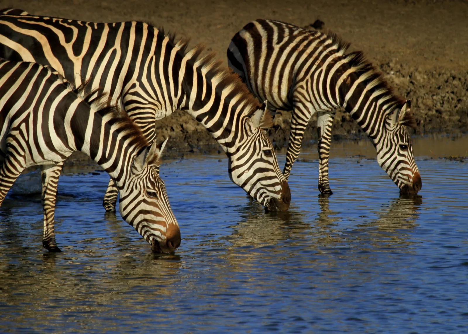 6-Day Visit Burundi gallery image