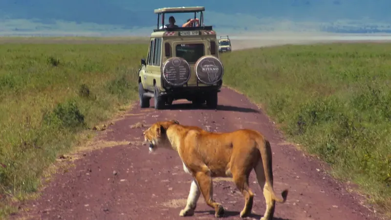 3-Day Serengeti & Ngorongoro Fly in & Fly out Safari - Tanzania safari