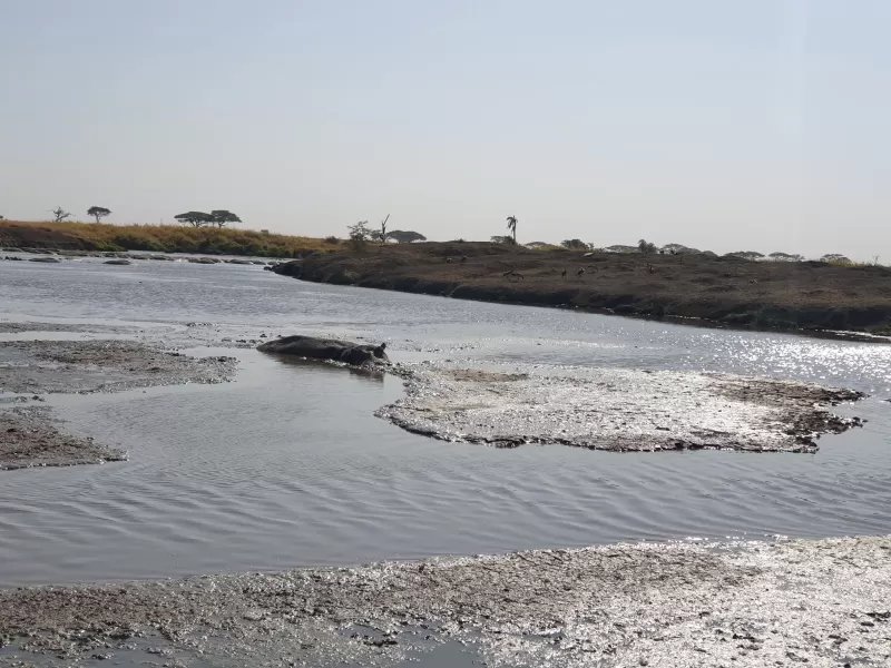8 Days Wild Safari in Botswana gallery image