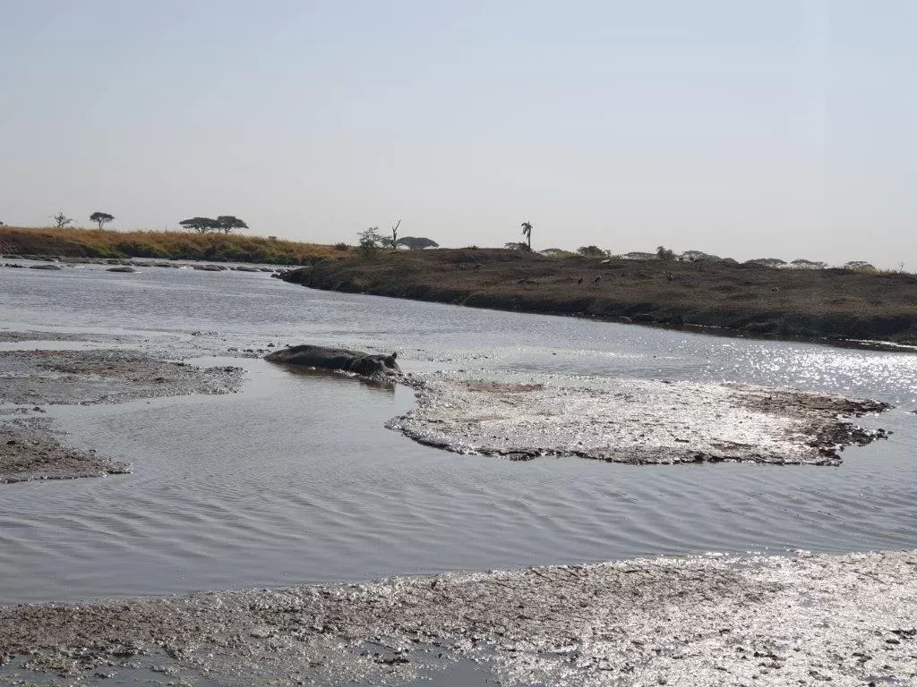 7-Day Botswana & Zimbabwe - Okavango & Vic Falls hero photo