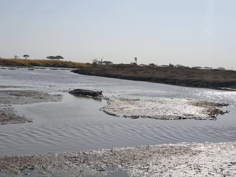 8-Day Memorable Bush and Beach Luxury Holiday Vacation - Kenya safaris gallery image