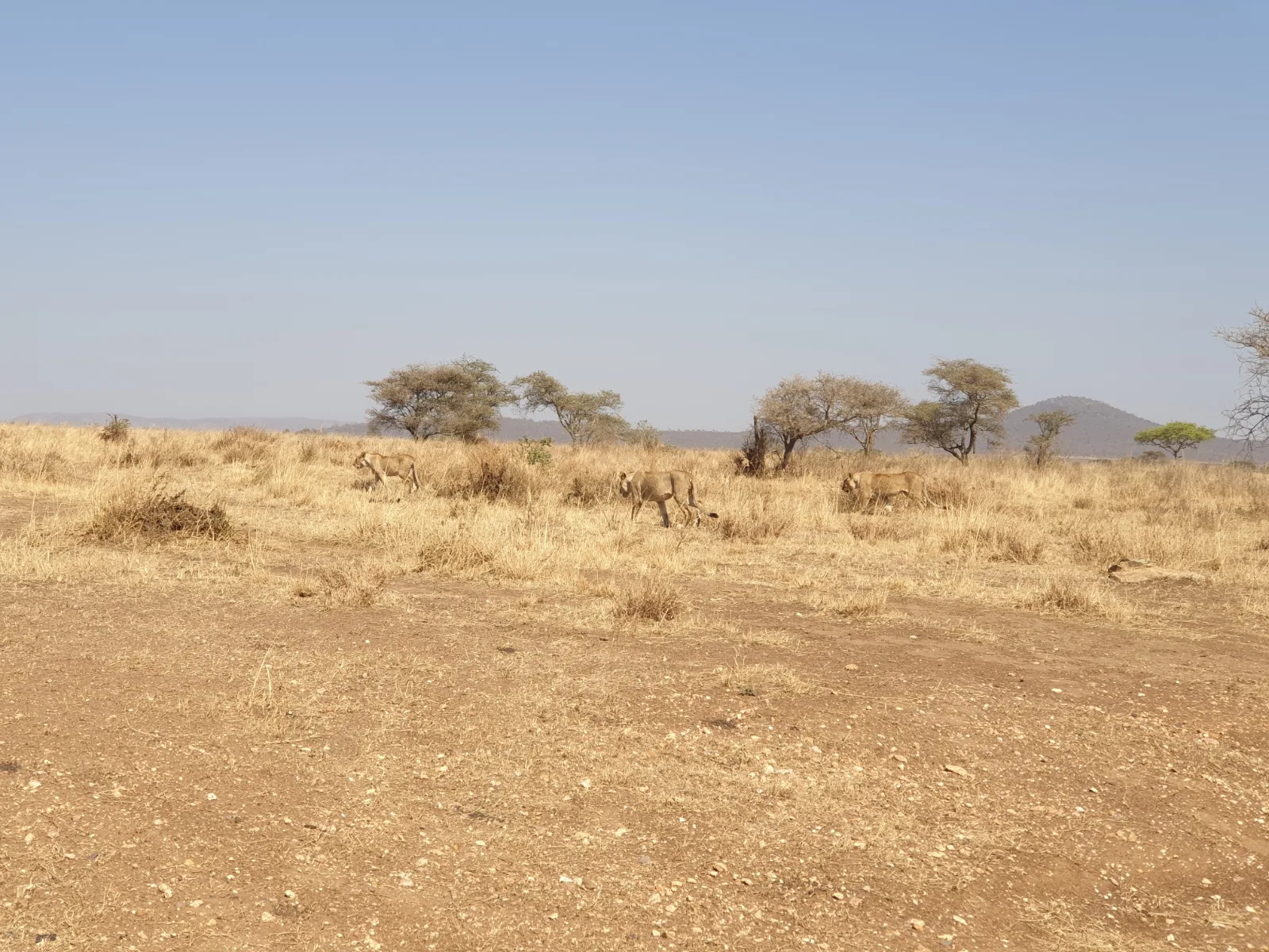 8-Days  Botswana Northern Highlights & Victoria Falls gallery image