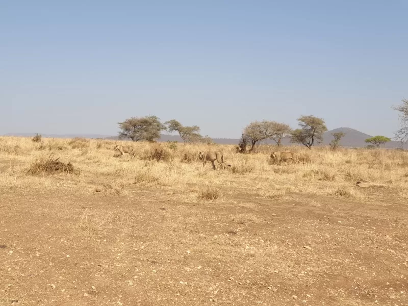 8-Days  Botswana Northern Highlights & Victoria Falls gallery image