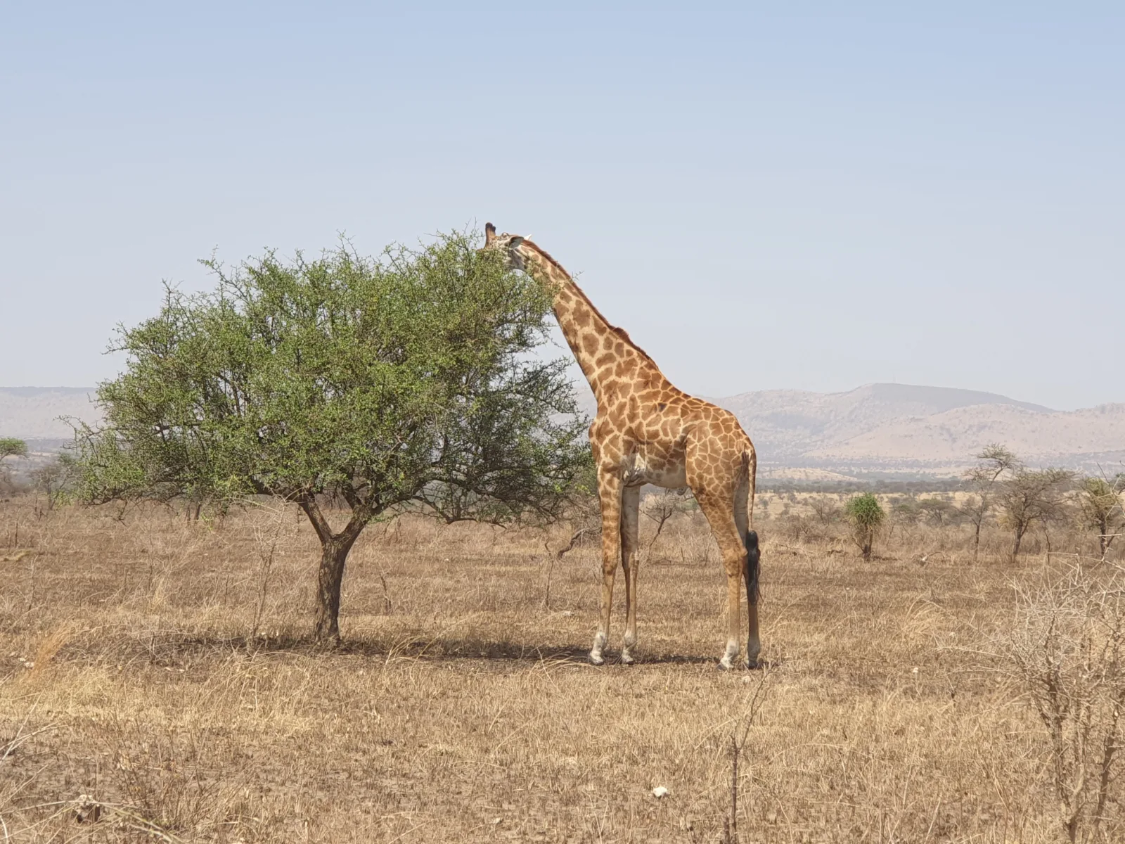 8-Days  Victoria Falls to Okavango Delta Camping Safari gallery image