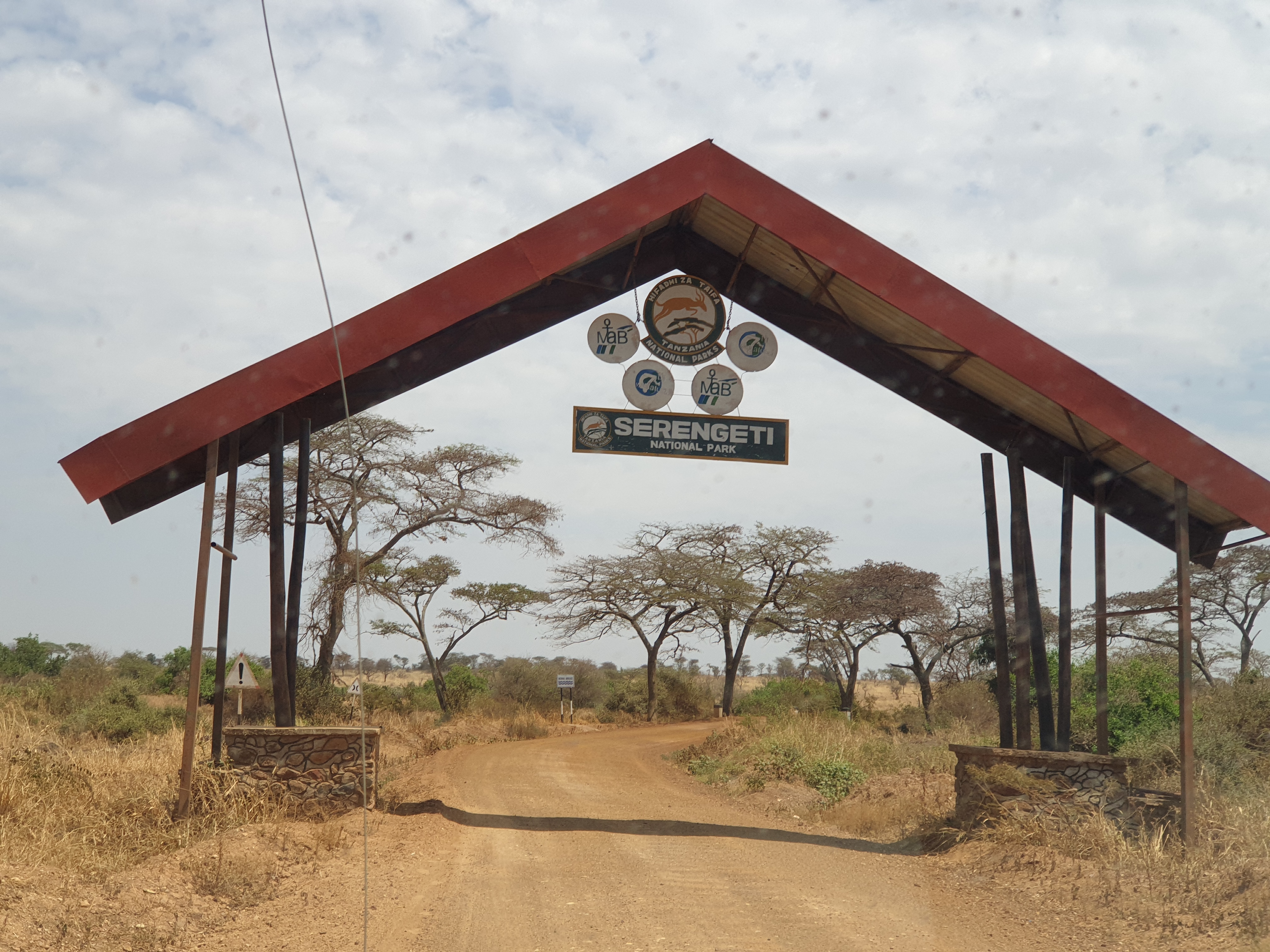 2-Day Midrange Safari in Tarangire & Lake Manyara - Tanzania safari gallery image