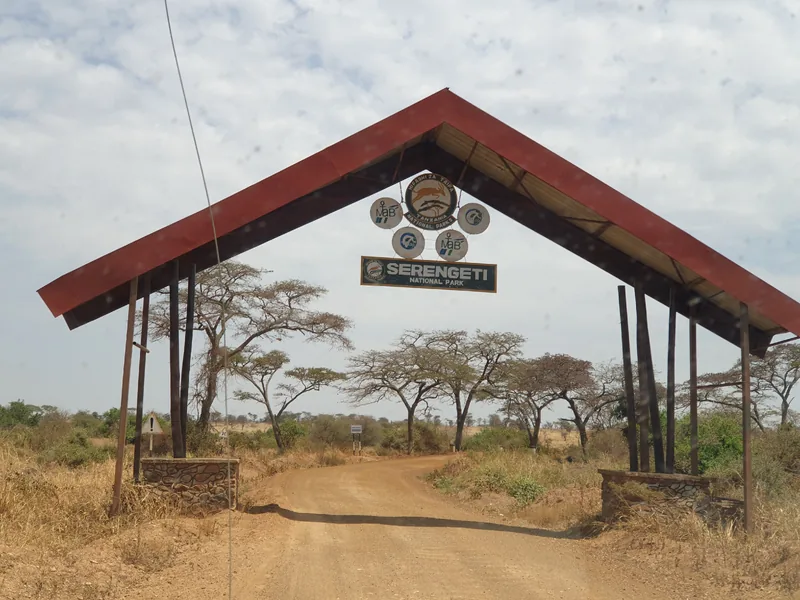 2-Day Midrange Safari in Tarangire & Lake Manyara - Tanzania safari gallery image