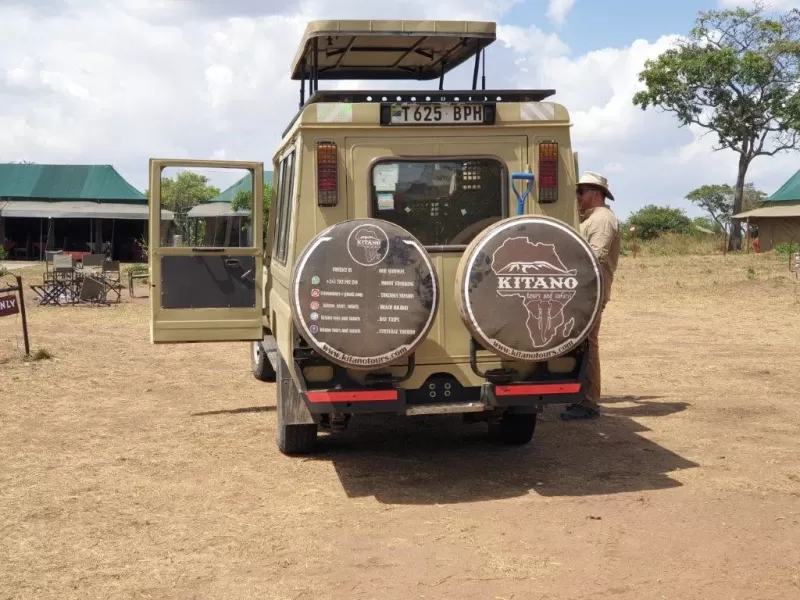 ½-Day Port Elizabeth: Schotia Safari Tour (4x4)