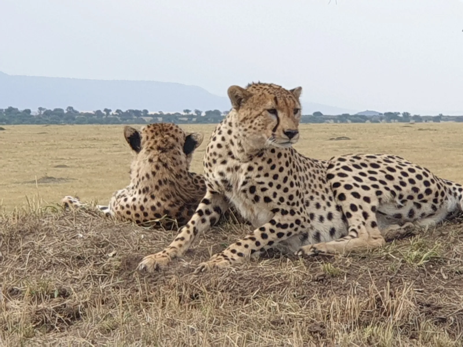 6-Days  Best of Both, Victoria Falls and Chobe NP Botswana gallery image