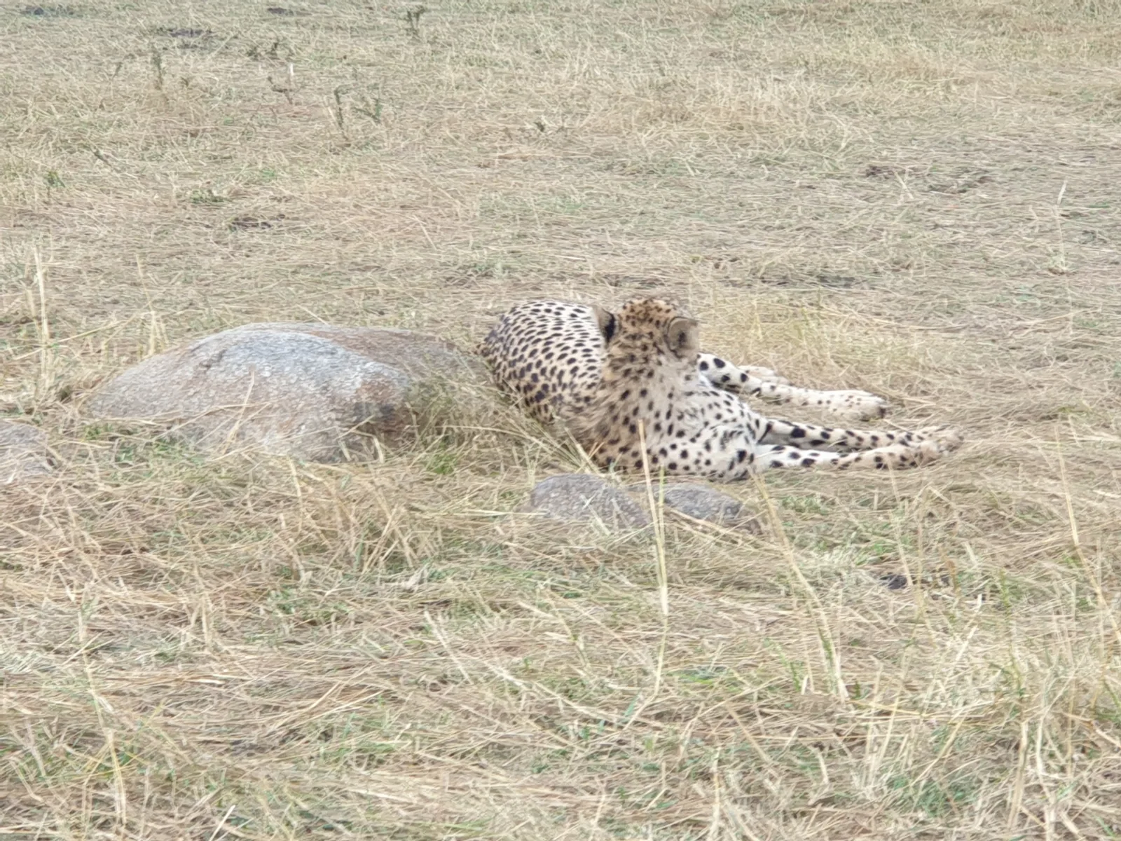 6-Days  Best of Both, Victoria Falls and Chobe NP Botswana gallery image