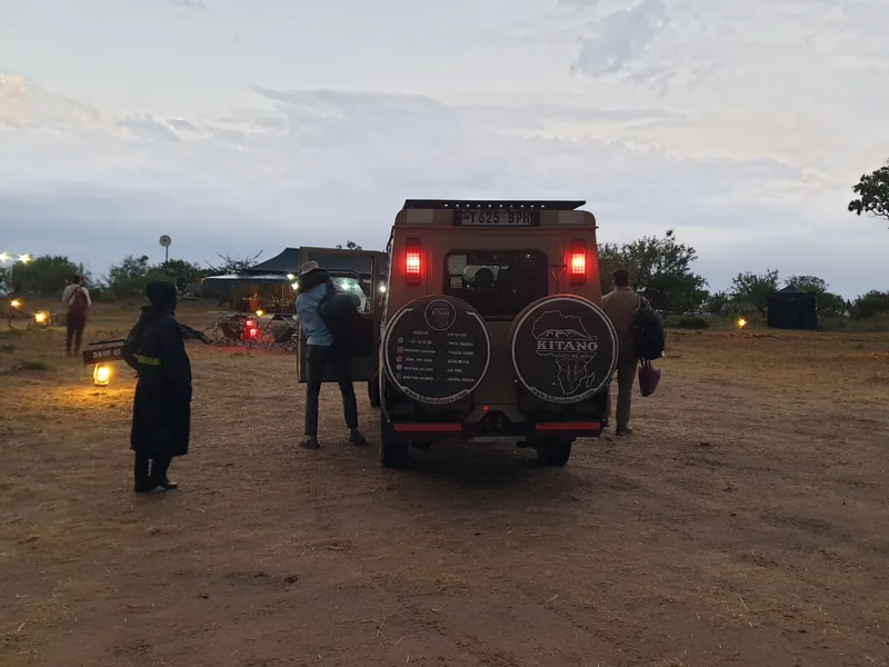 2-Day Nyerere National Park Game Drive and Boat Safari - Tanzania safari