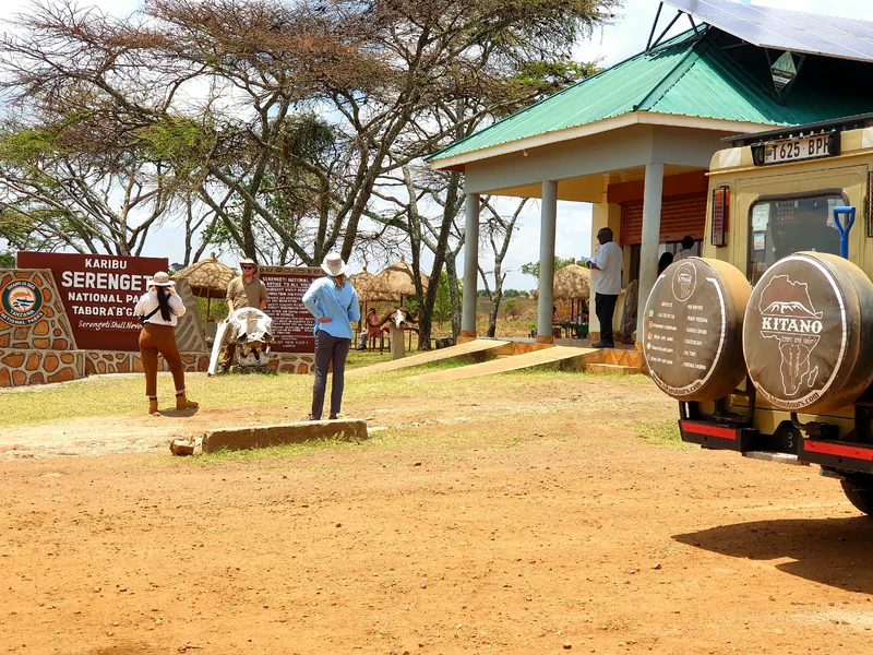 5-Day Tailored Luxury Safari Across 4-Tanzanian Parks - Tanzania safari