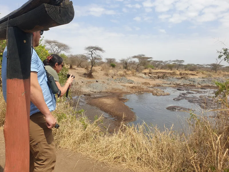 10-Day Stone Town & Zanzibar Sand & Selous Safari - Tanzania safari