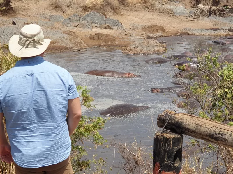 8 Days  Highlights of Botswana gallery image
