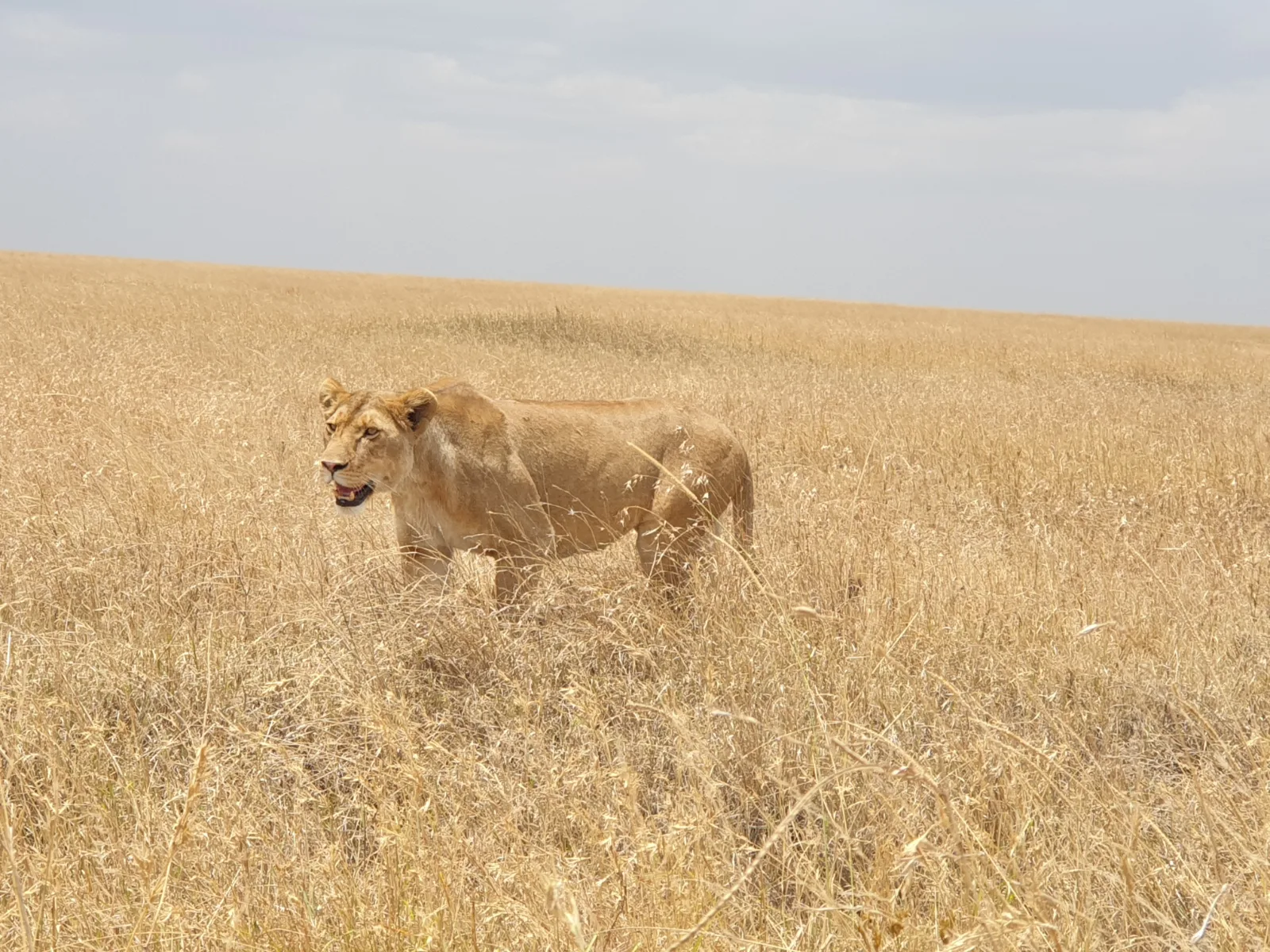 15-Day Zambia off the Beaten Track Safari gallery image