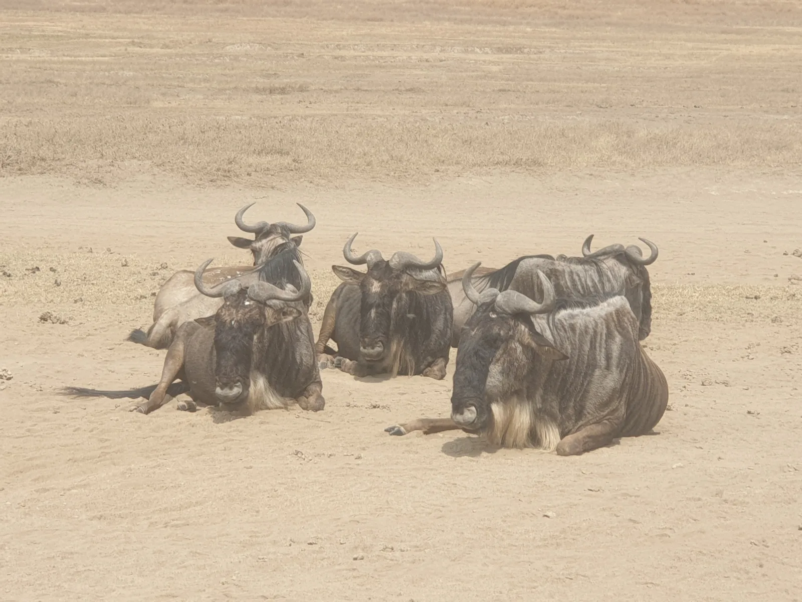 15-Day Zambia off the Beaten Track Safari gallery image