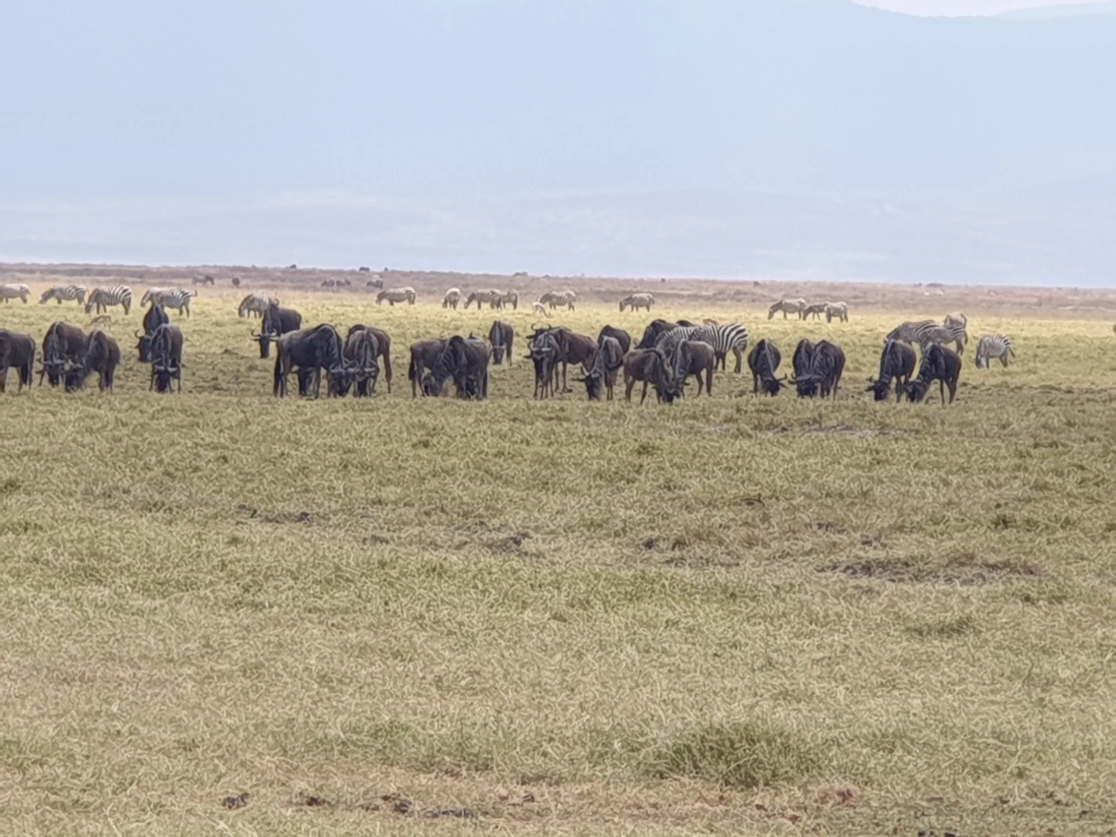 8 Days  Botswana Safari Adventure gallery image