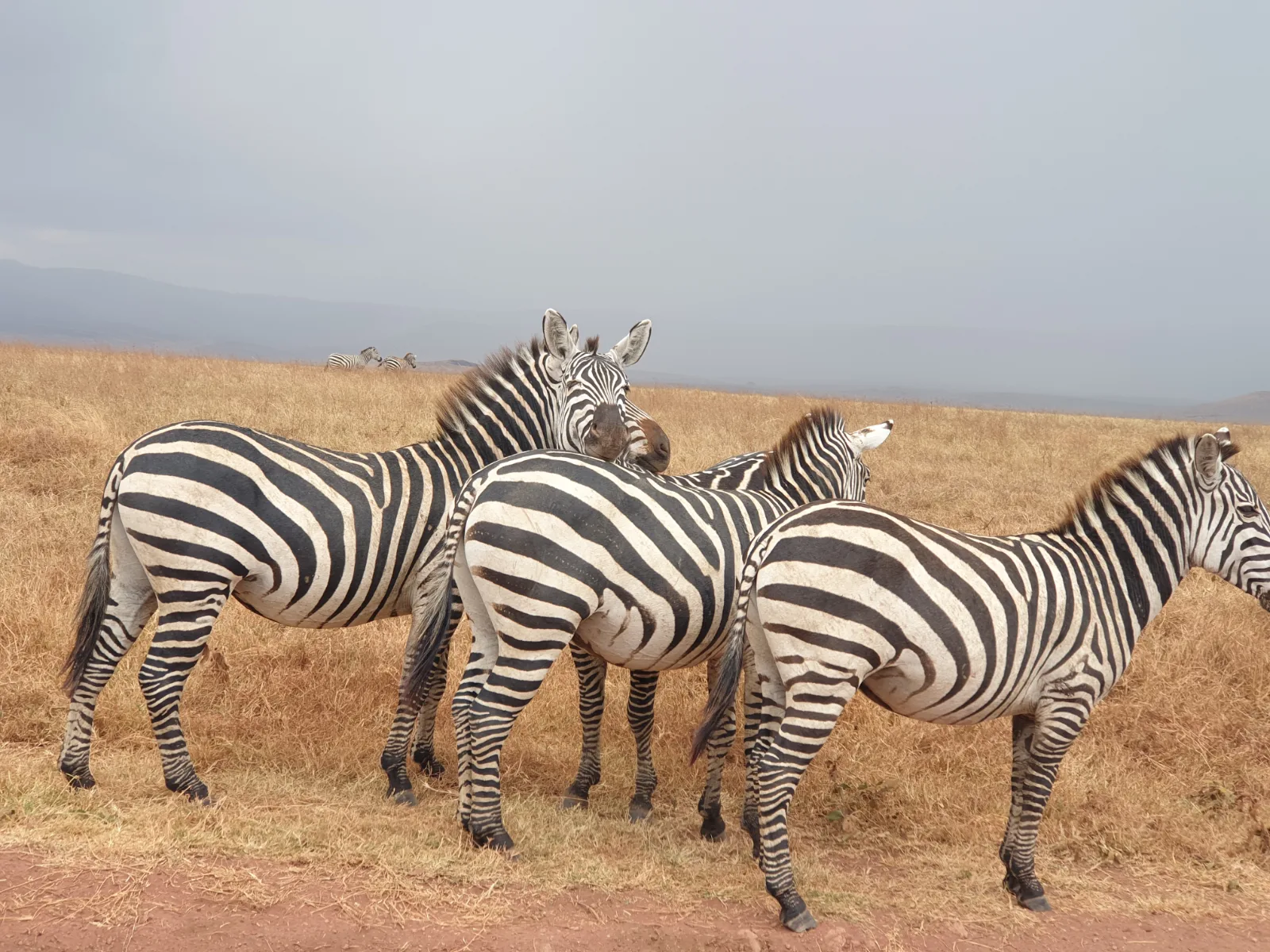 15-Day Zambia off the Beaten Track Safari gallery image