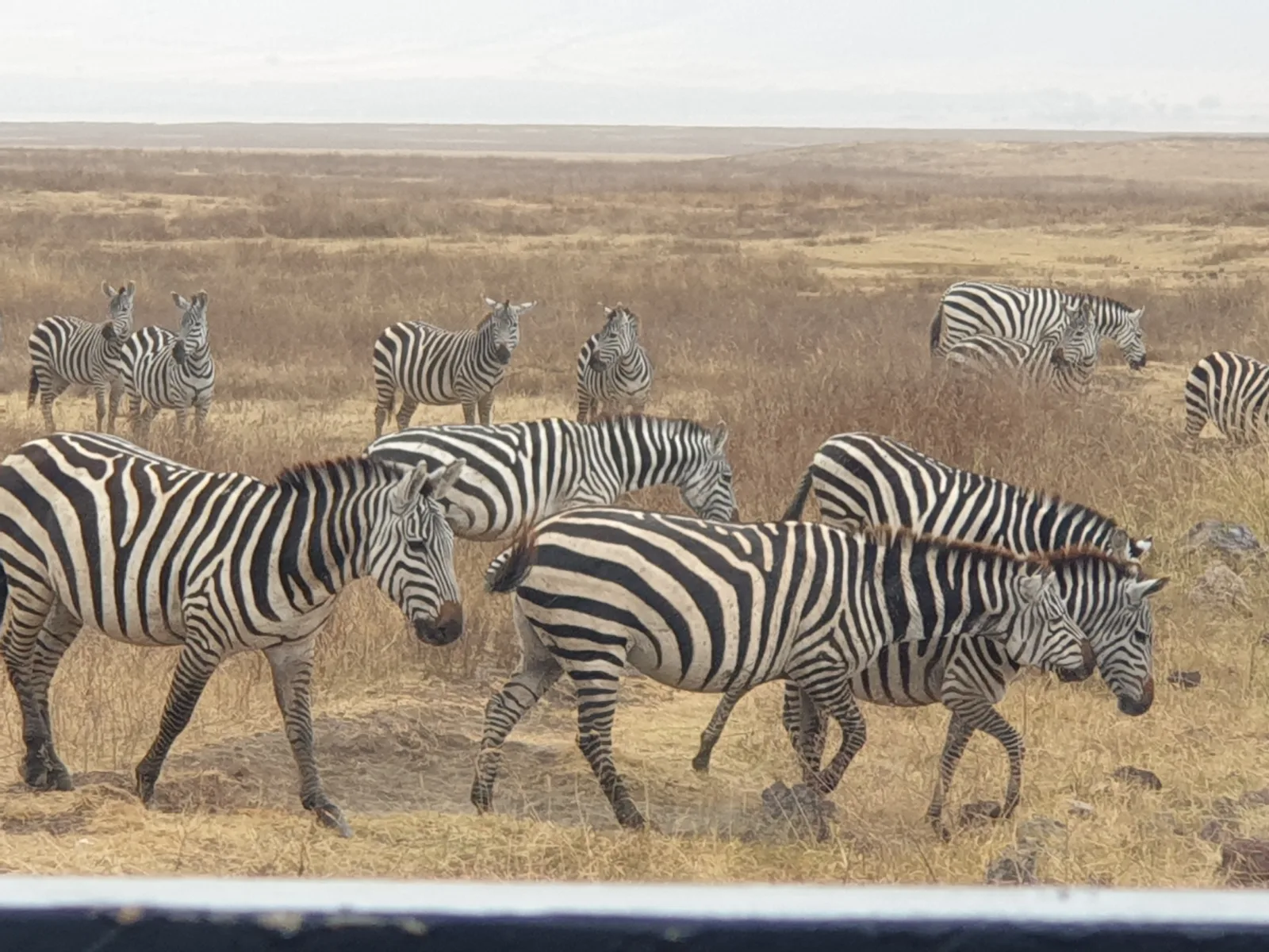 8-Days  Camping Expedition Victorira Falls Okavango Delta gallery image
