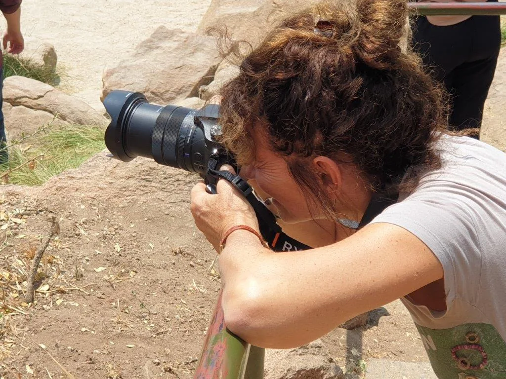 7-Days  Vic Falls, Hwange, Chobe & Namibia Impala Island gallery image