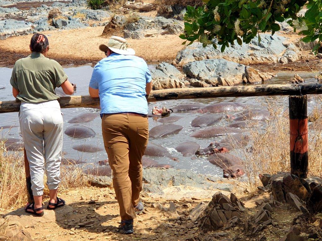 8-Day Memorable Bush and Beach Luxury Holiday Vacation - Kenya safaris gallery image