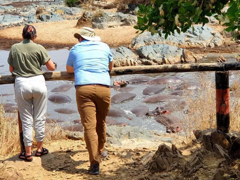 8-Day Memorable Bush and Beach Luxury Holiday Vacation - Kenya safaris gallery image
