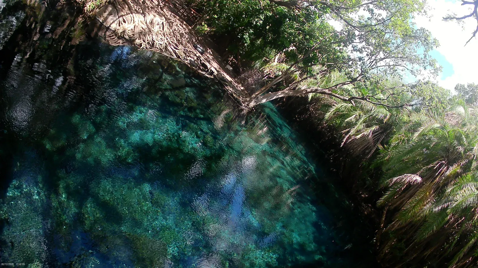 Kikuletwa Hot Springs (Chemka) Day Trip  -  From Moshi / Arusha hero photo
