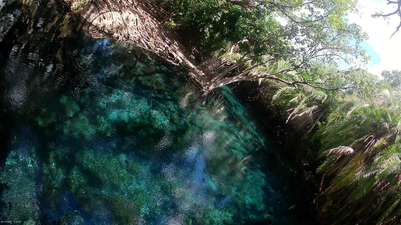 Kikuletwa Hot Springs (Chemka) Day Trip  -  From Moshi / Arusha