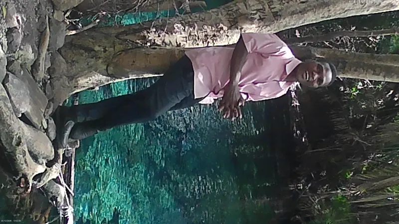 Kikuletwa Hot Springs (Chemka) Day Trip  -  From Moshi / Arusha gallery image