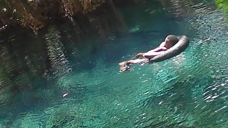 Kikuletwa Hot Springs (Chemka) Day Trip  -  From Moshi / Arusha gallery image