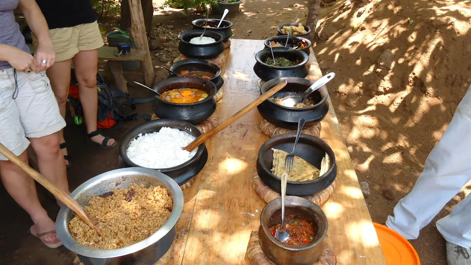 2 Days Serval Wildlife & Kikuletwa Hot Springs Tour hero photo