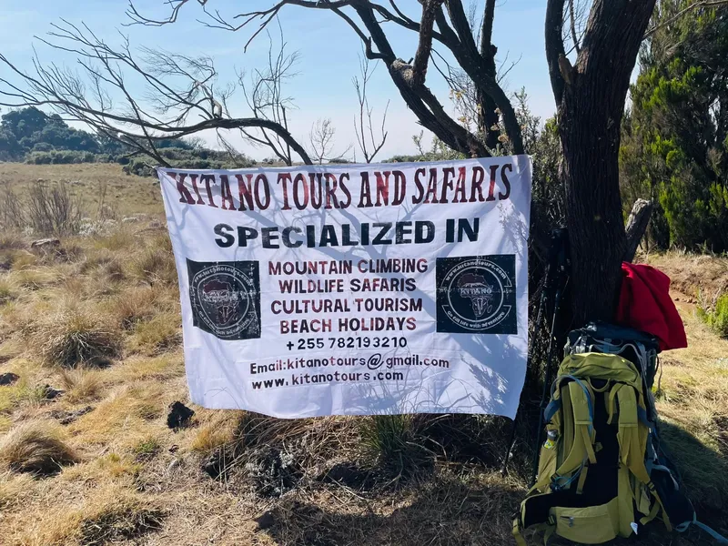 5-Day Trek to the Highest Peak of Africa for Solo's - Kilimanjaro gallery image