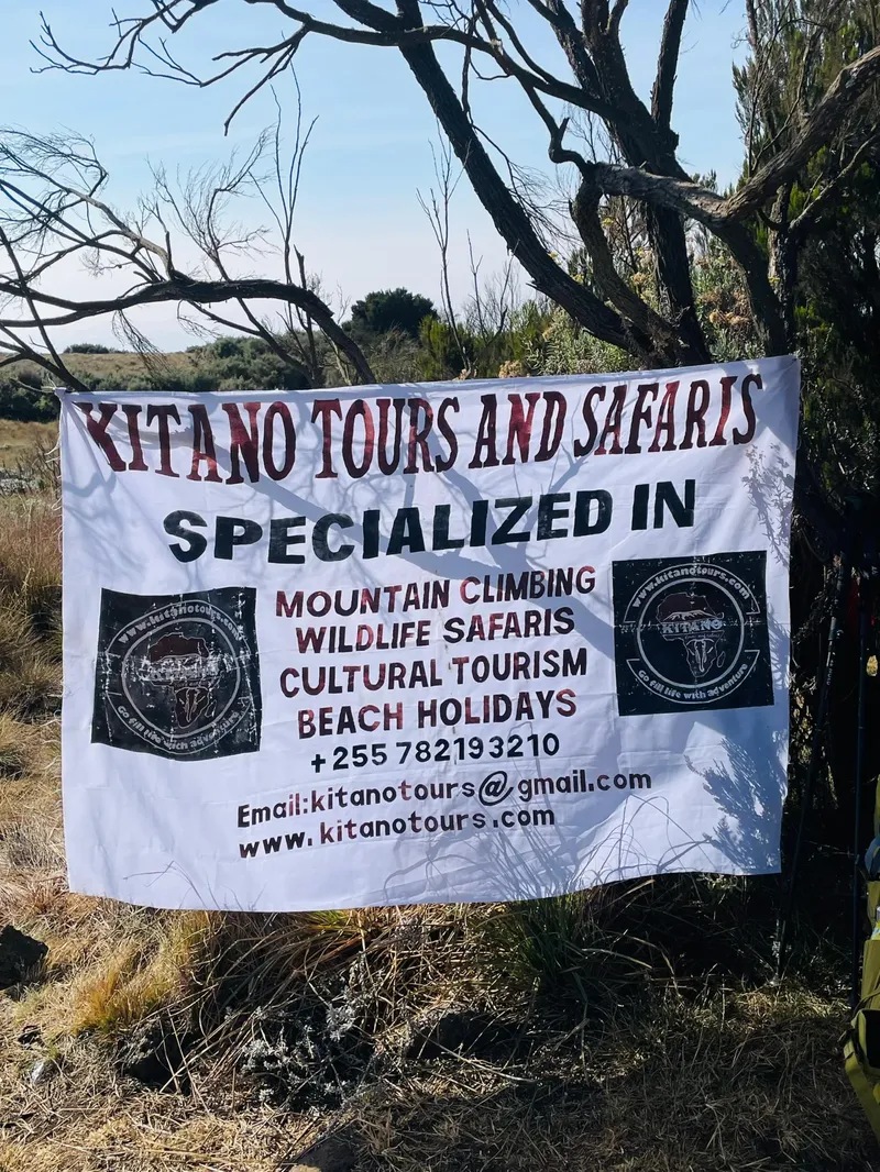 7-Day Mount Kilimanjaro Climb via the Lemosho Route  -  Join a Group Trek
