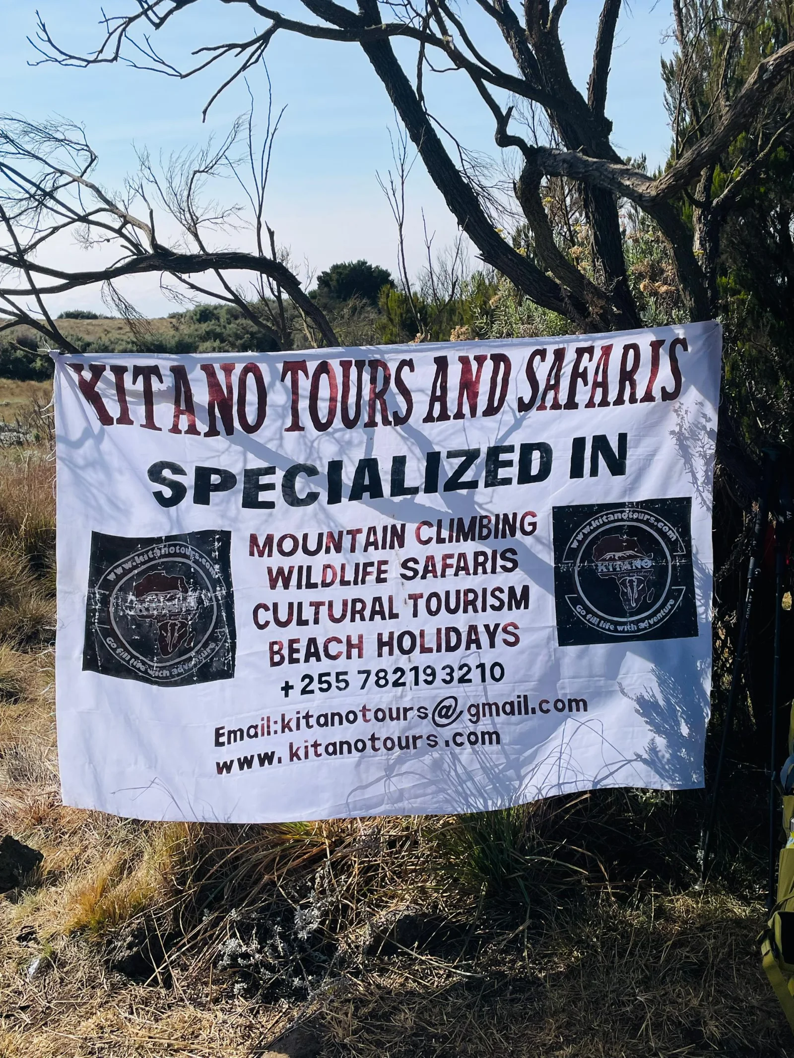 1-Day Kilimajaro Experince Hike the Marangu Route - Kilimanjaro