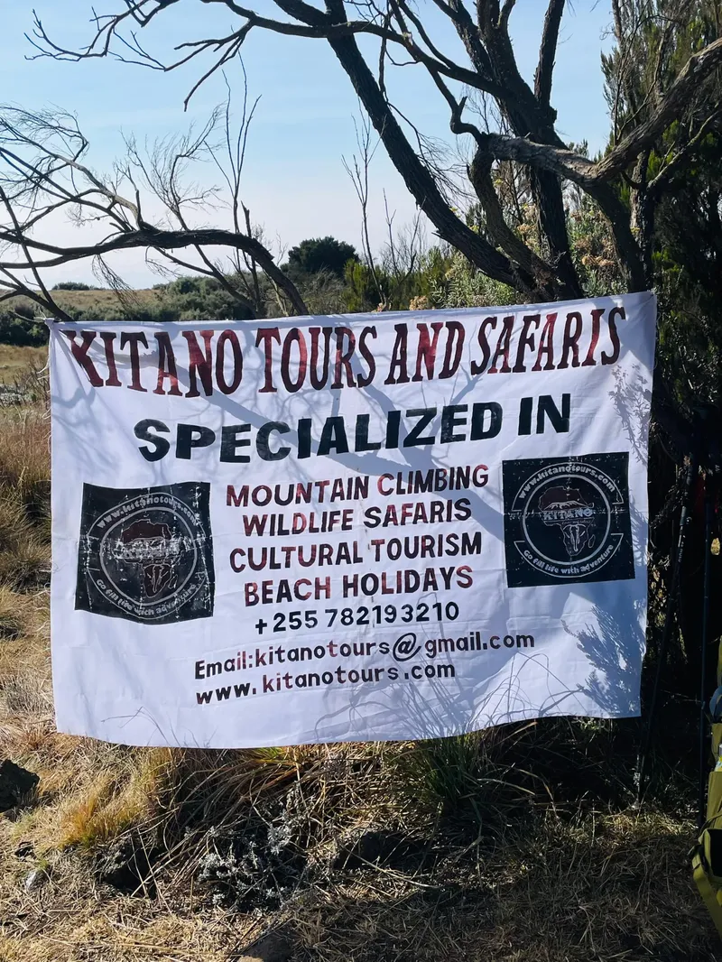 1-Day Shira Plateau, Kilimanjaro Hiking - Kilimanjaro gallery image