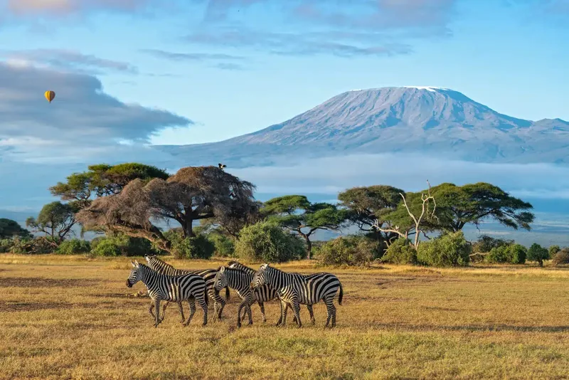 12-Day Kenya Safari & Zanzibar Beach Adventure gallery image