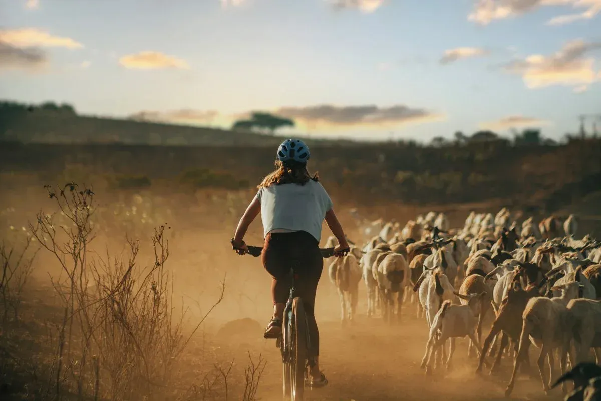 4-Day Thrilling West Kilimanjaro Cycling Adventure & Tanzania Wildlife Safari hero photo