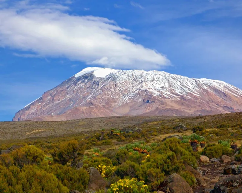 13-Day Big 5 Ultimate Tanzania Special - Tanzania safari gallery image
