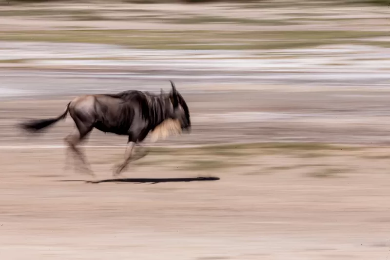 5-Day Omo Valley Tribal and Photography Tour gallery image