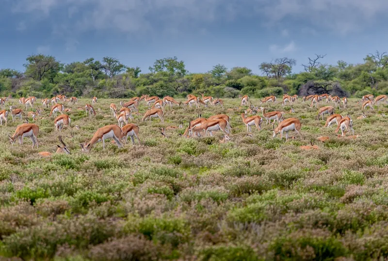 2-Day Tsavo East Safari Adventure from Mombasa - Kenya safaris