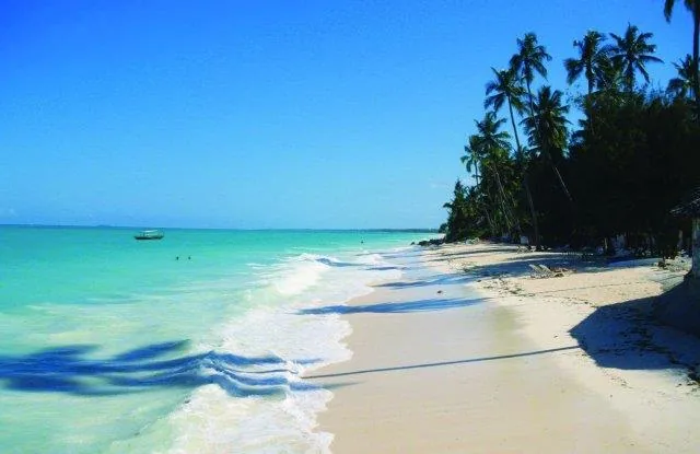 11-Day From the Heart of the Wild to the Edge of Paradise - Tanzania safari