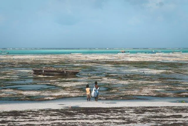 8-Day Kenya Safari & Beach Getaway - Kenya safaris gallery image