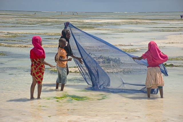 8-Day Tanzania Safari & Beach Holiday - Tanzania safari gallery image