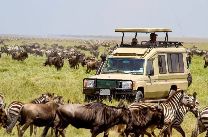 12-Day Wildlife Venture & Culture Experience - Tanzania safari gallery image
