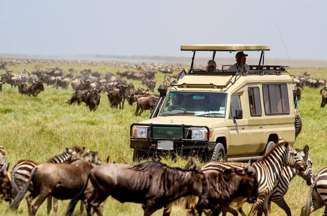7-Day Kenya Big Five Safari - Kenya safaris